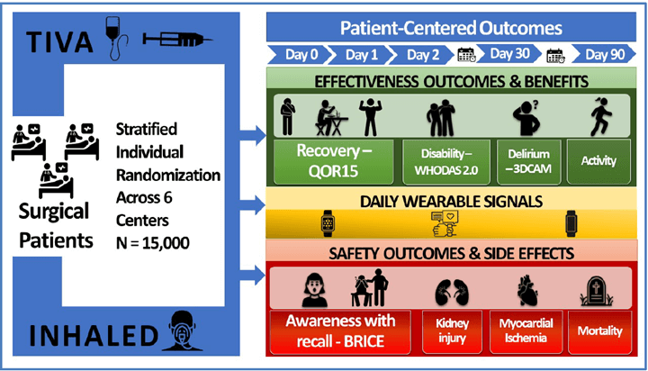 Original THRIVE research study overview supplied by client.